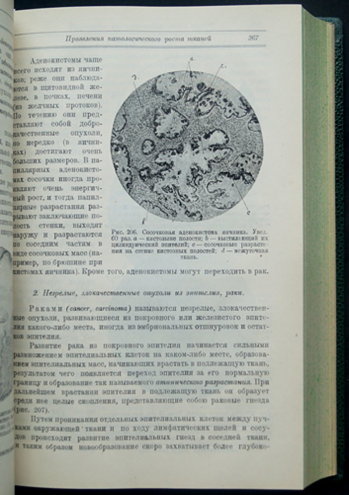Основы патологической анатомии. В двух частях (общая патологическая анатомия)
