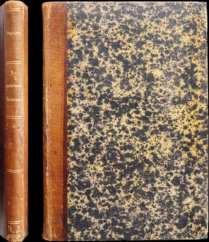 Фаресов А. И. В одиночном заключении (2-е издание)