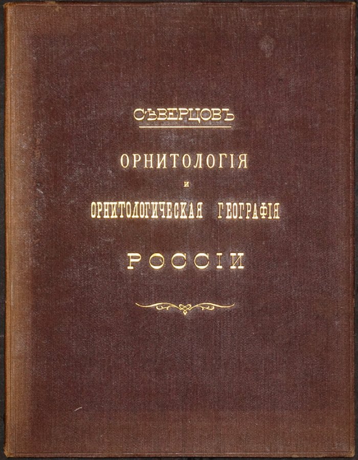 Орнитология и орнитологическая география России — научное путешествие и наблюдения Н. А. Северцова