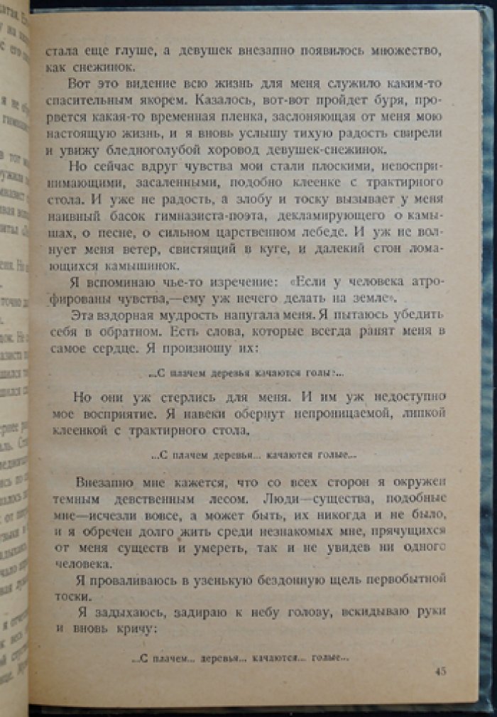 Рейд Черного Жука: повесть о событиях Гражданской войны