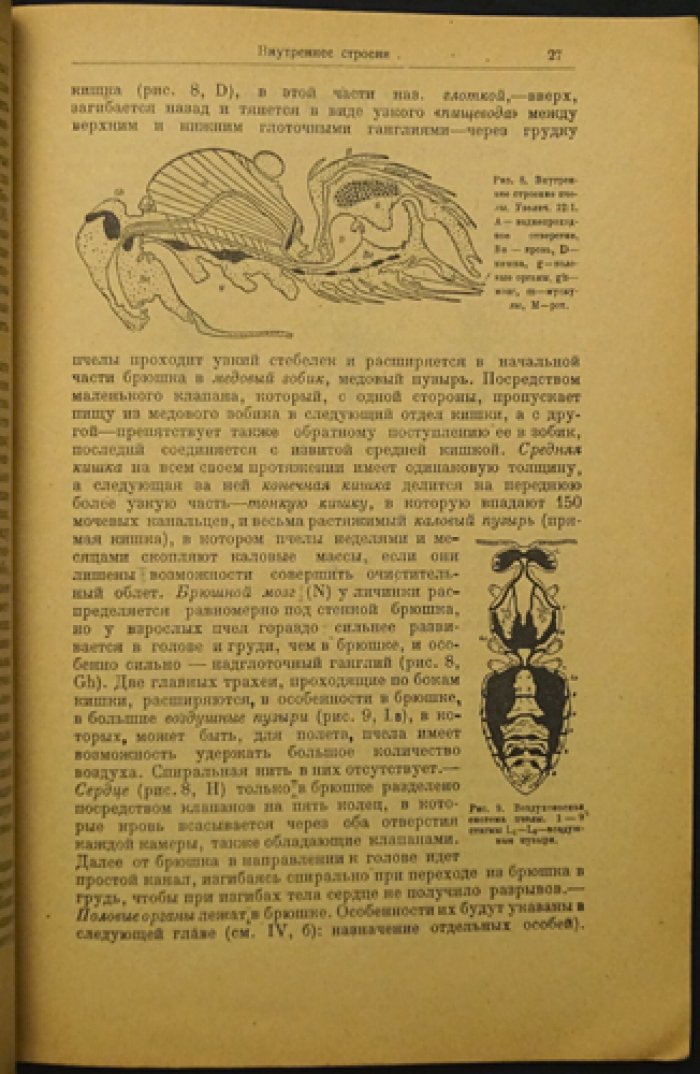 Энох Цандер: «Пчёлы и пчеловодство» — наука, болезни и технологии пасеки