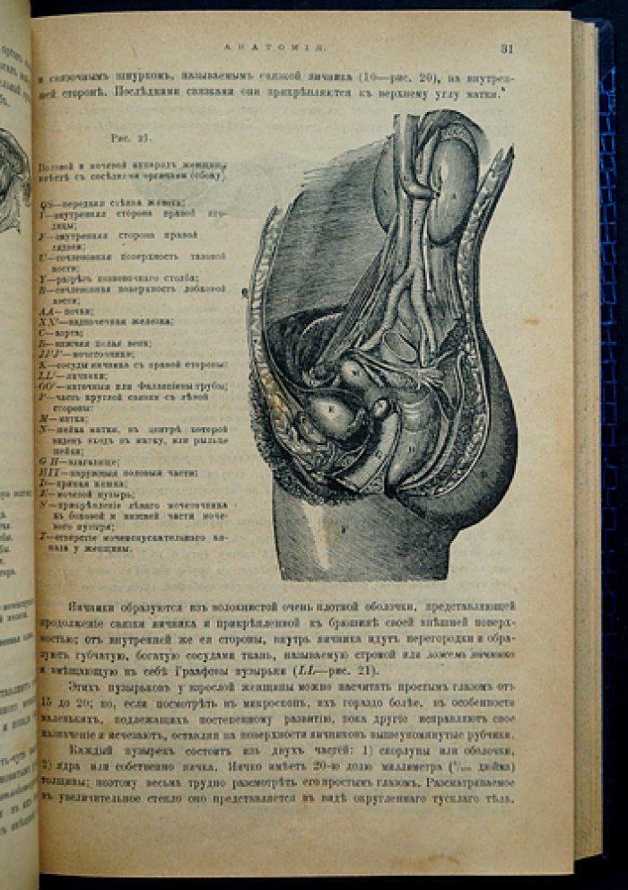 Преждевременное истощение и расслабление мужчины: болезни половых органов и мочевых путей