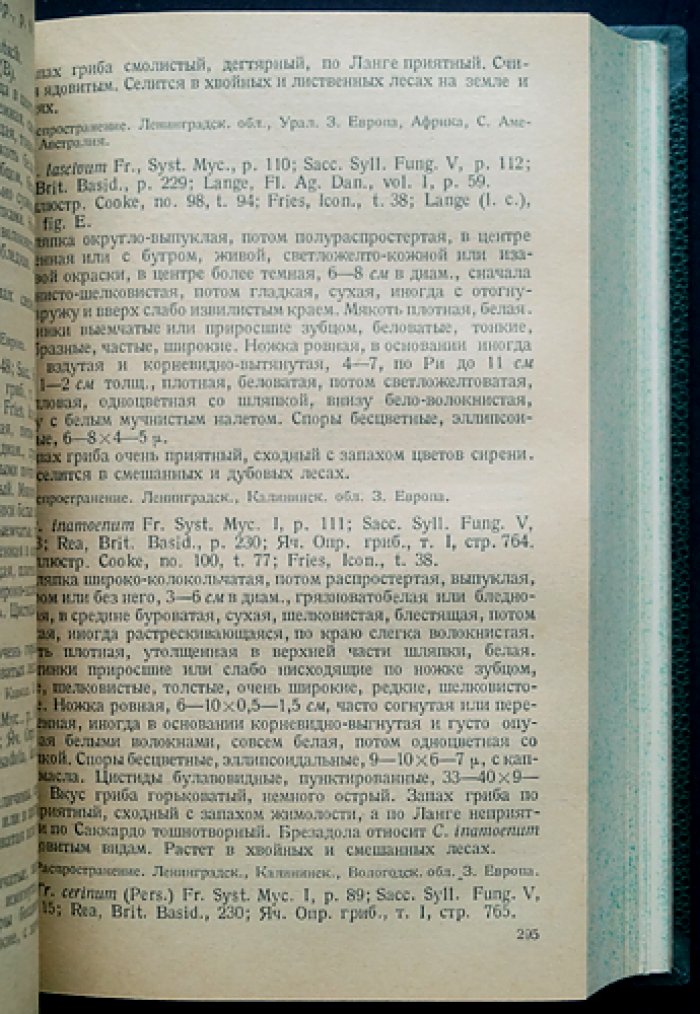 Определитель шляпочных грибов (Agaricales) / проф. Л.А. Лебедева