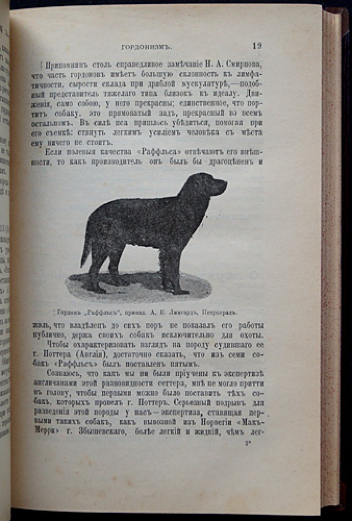 Наша охота. 1914 год. №13–№24 (полугодовой комплект)