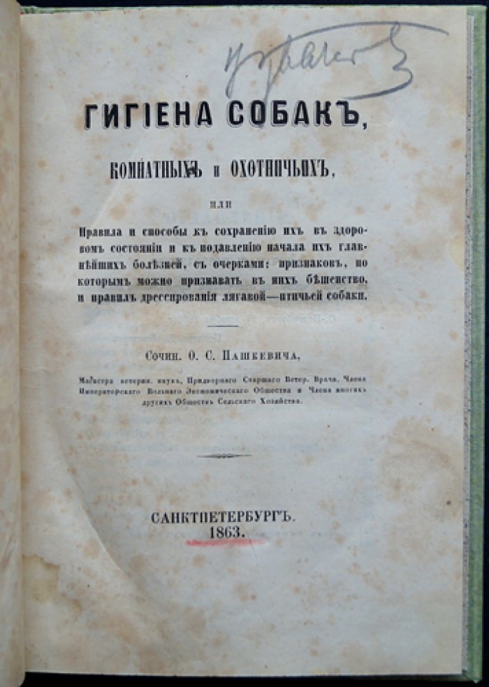 Гигиена собак (комнатных и охотничьих). Правила сохранения здоровья и подавление главных болезней