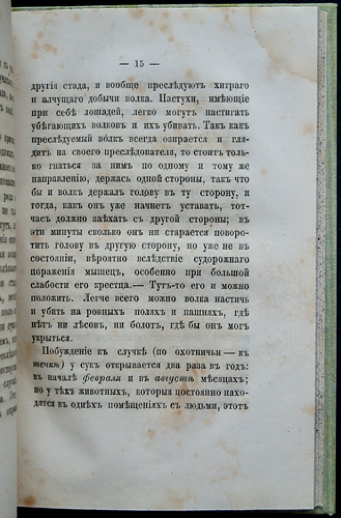 Гигиена собак (комнатных и охотничьих). Правила сохранения здоровья и подавление главных болезней