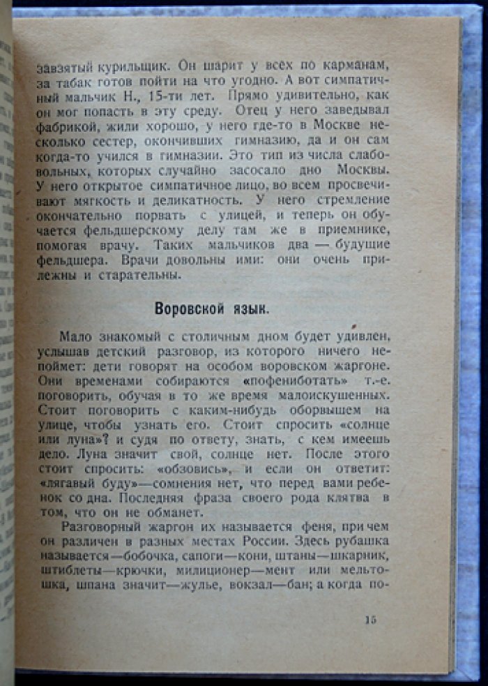 Дети улицы: очерки московской жизни (1920-е годы)