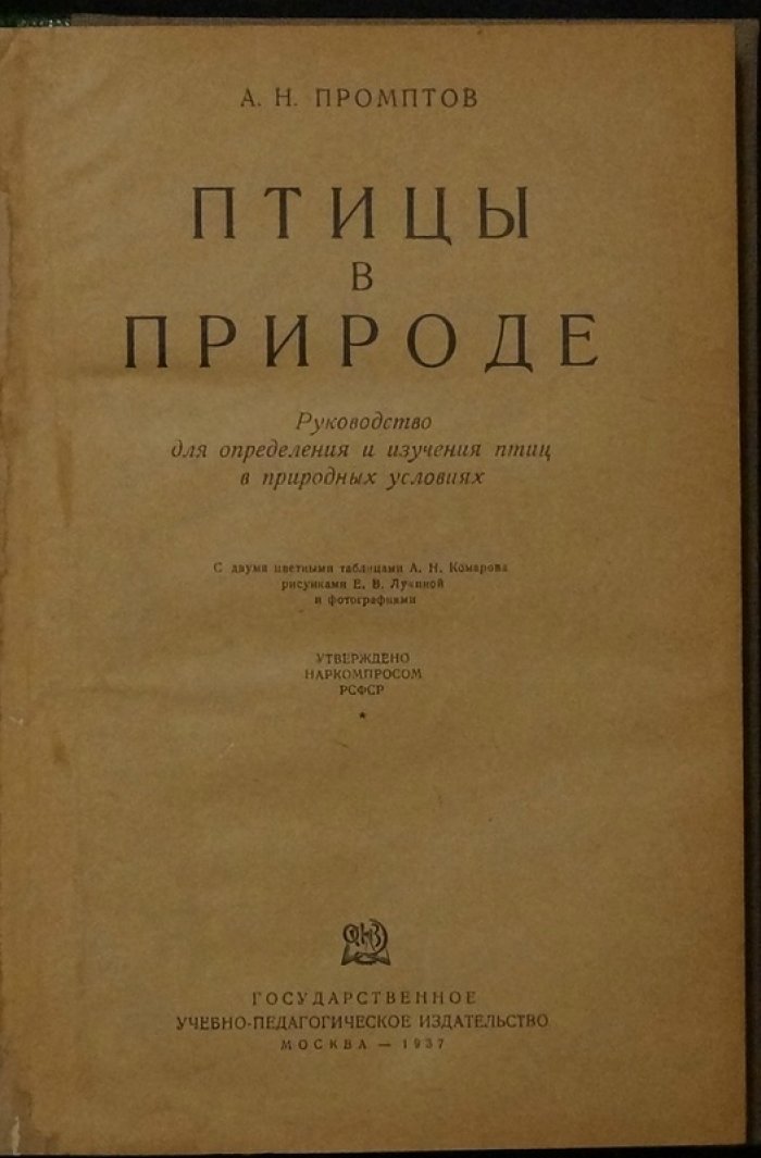Птицы в природе: руководство-определитель для начинающих орнитологов (с цветными таблицами)