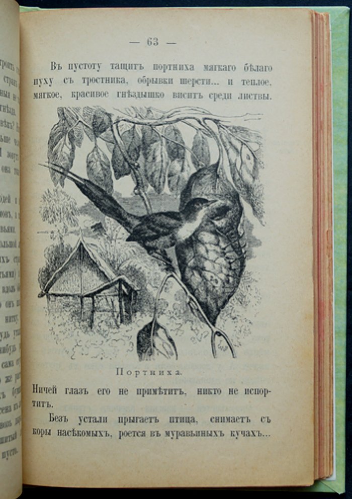 Жилища и нравы птиц (М. С. Слепцова). Иллюстрированное издание 1898 года