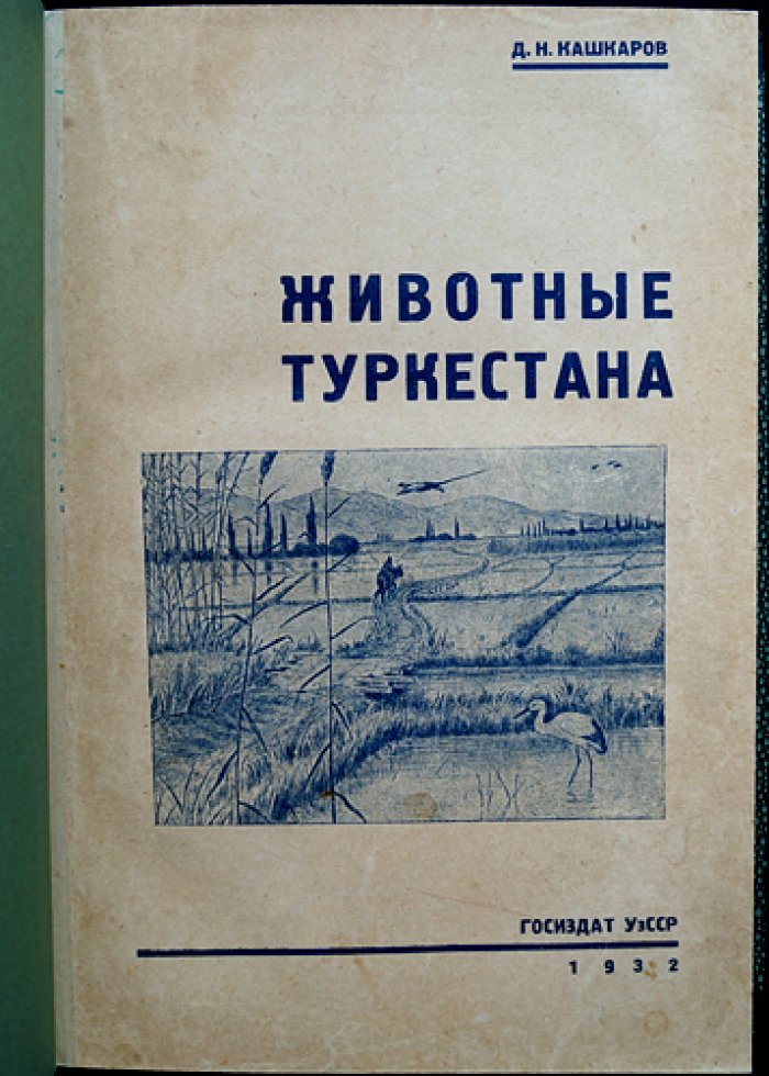 Животные Туркестана: природа и фауна Средней Азии (2-е издание, расширенное)