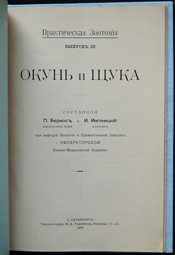 Окунь и щука: Практическая зоотомия (выпуск III) — анатомия рыб с рисунками и цветной таблицей