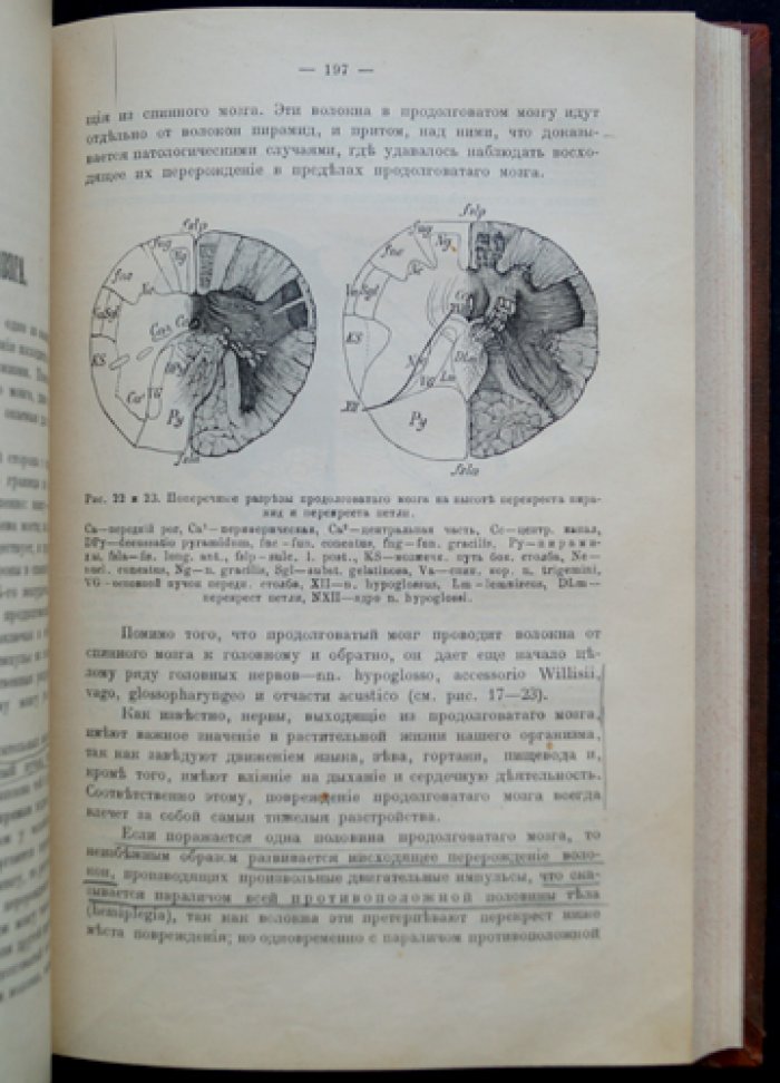 Проф. А. Я. Кожевников. Курс нервных болезней (лекции студентов), 5-е исправленное издание с дополнениями В. К. Рота