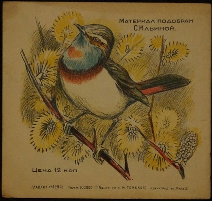 Птицы: детская книга (Москва, изд. Г. М. Мириманова, 1928) с иллюстрациями А. Н. Комарова