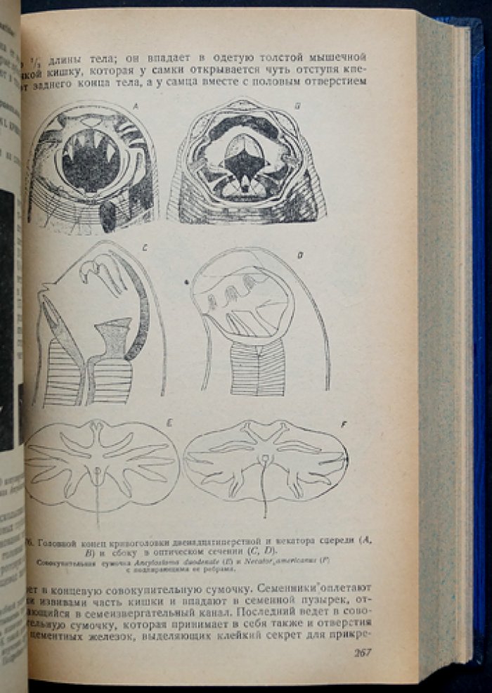 Курс паразитологии человека. Учение о переносчиках инфекций и инвазий (2-е переработанное и расширенное издание)
