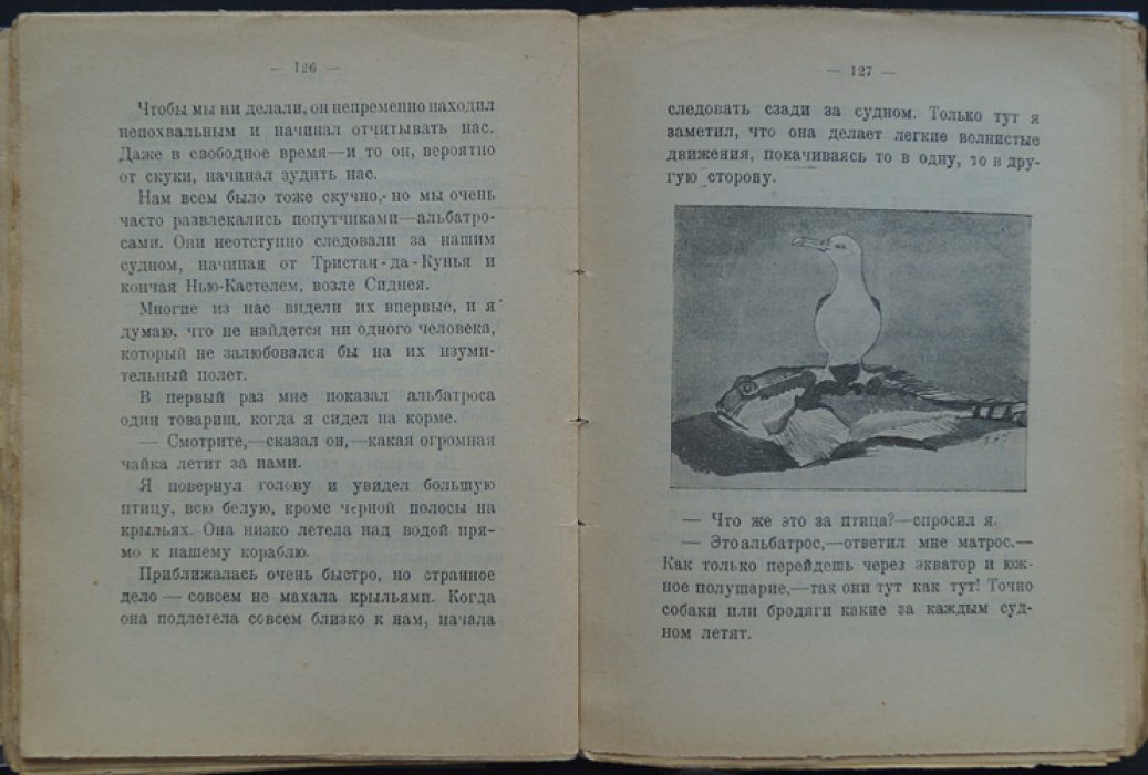 Островные птицы: рассказы (детская книга о природе)