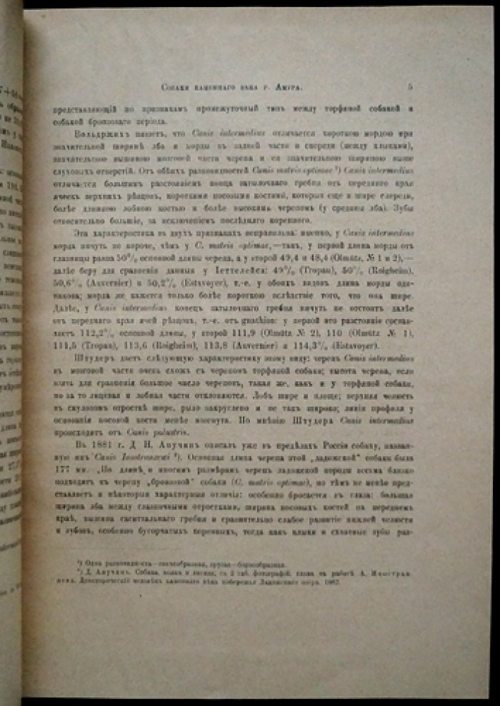 Собаки каменного века на р. Амур: исследование доисторических пород (Труды геологической комиссии, Новая серия, вып. 160)