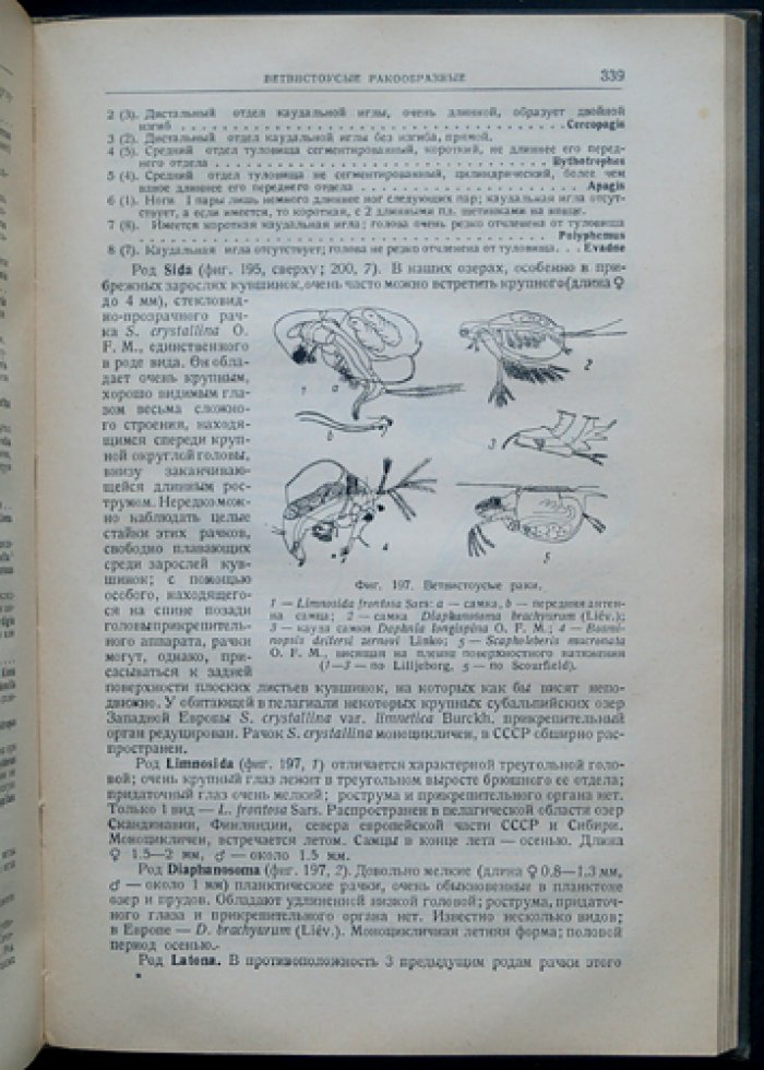 Жизнь пресных вод СССР: комплект из 4 томов (5 книг) — гидробиология и методики исследования