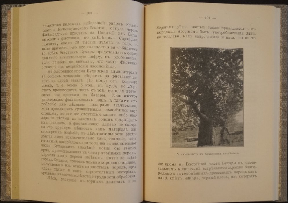 Страна бесправия: Бухарское ханство и его современное состояние (история, устройство и повседневная жизнь)