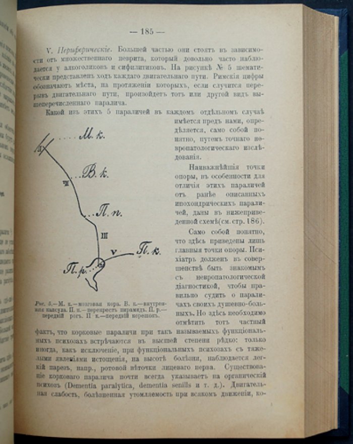 Руководство к психиатрии для врачей и студентов (Общая и частная психопатология)