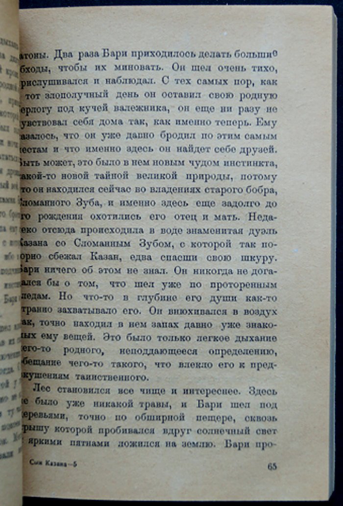 Кэрвуд. Сын казана: приключенческий роман о волчонке и его судьбе