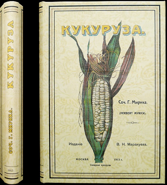Мирик. Кукуруза: сельскохозяйственный очерк и практические сведения