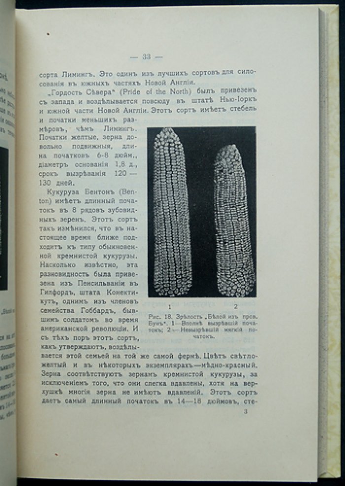Мирик. Кукуруза: сельскохозяйственный очерк и практические сведения