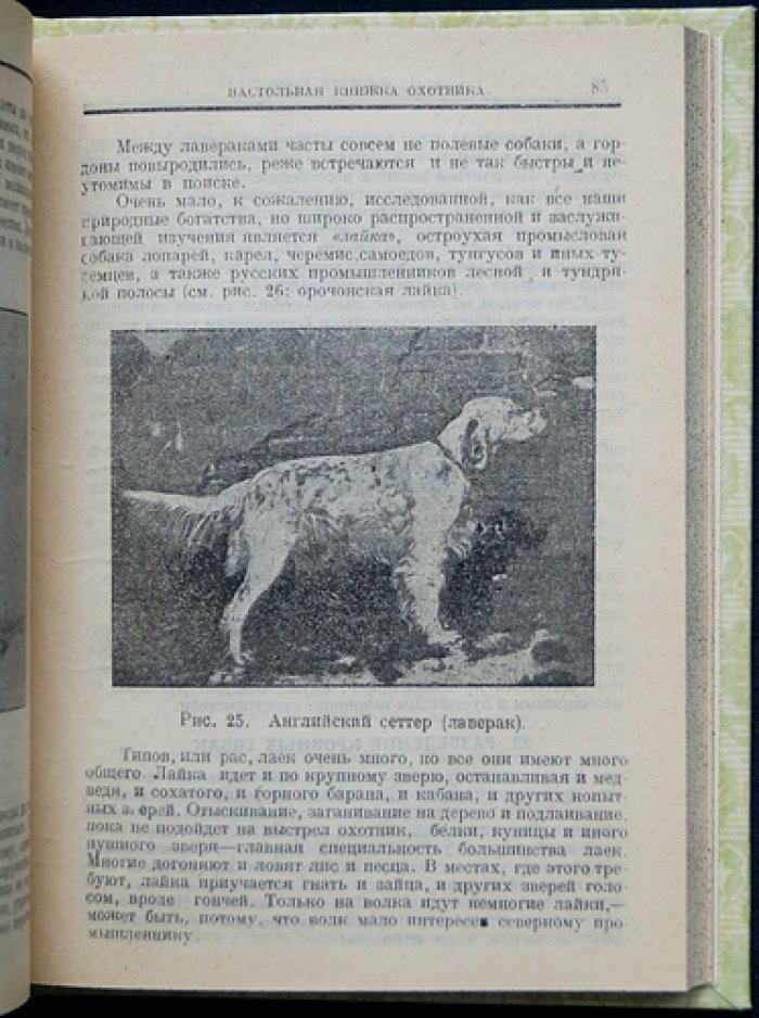 Настольная книжка охотника (классика охотничьего дела Бутурлина)