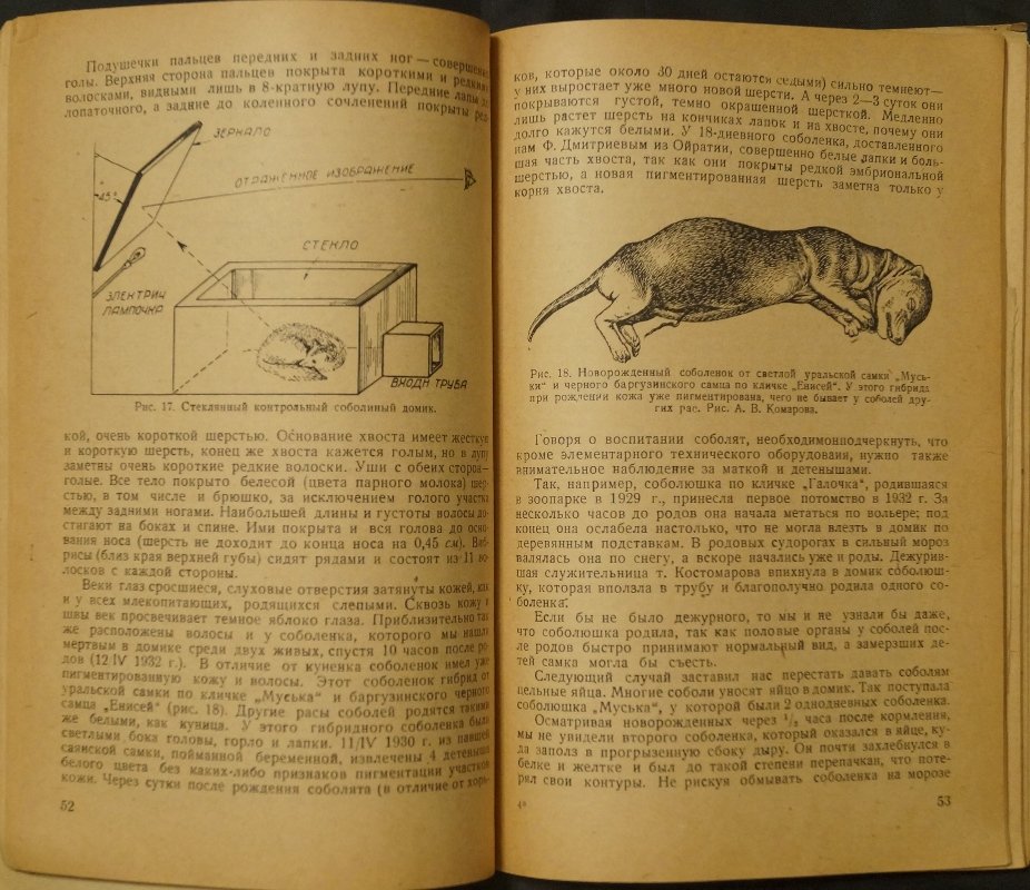 Соболь: исследования природы и разведения (издание П.А. Мантейфеля, 1934)