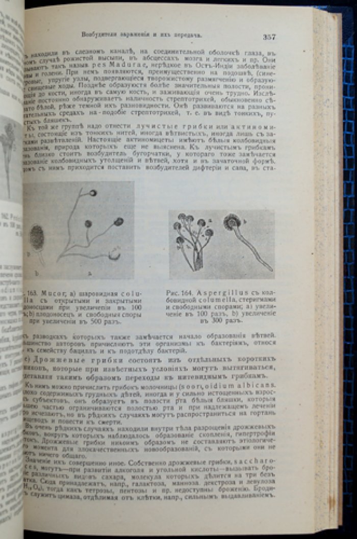 Гигиена и санитарная медицина (по материалам руководства Гартнера) — практическое руководство с иллюстрациями