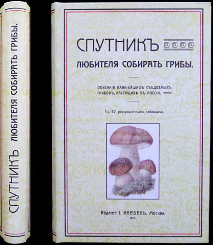 Спутник любителя собирать грибы: съедобные грибы России (иллюстрированное руководство)