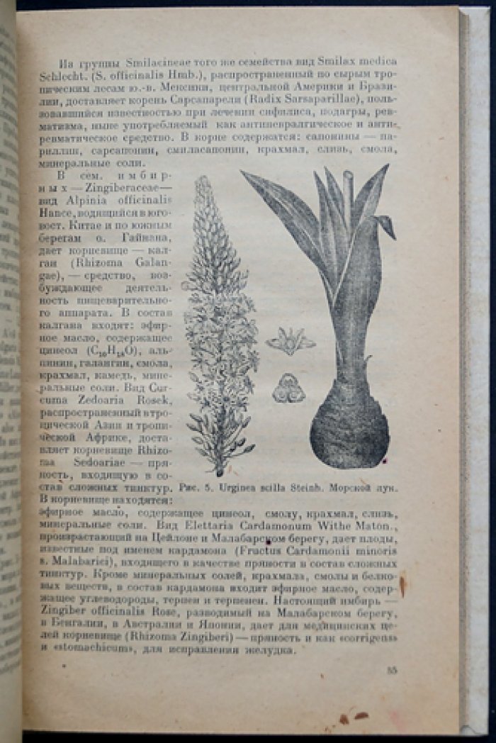 Лекарственные растения: культура, выращивание и сбор — учебное руководство