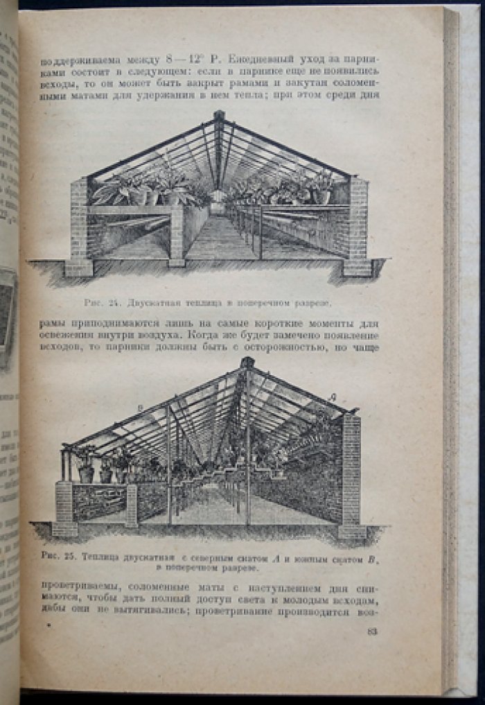 Лекарственные растения: культура, выращивание и сбор — учебное руководство