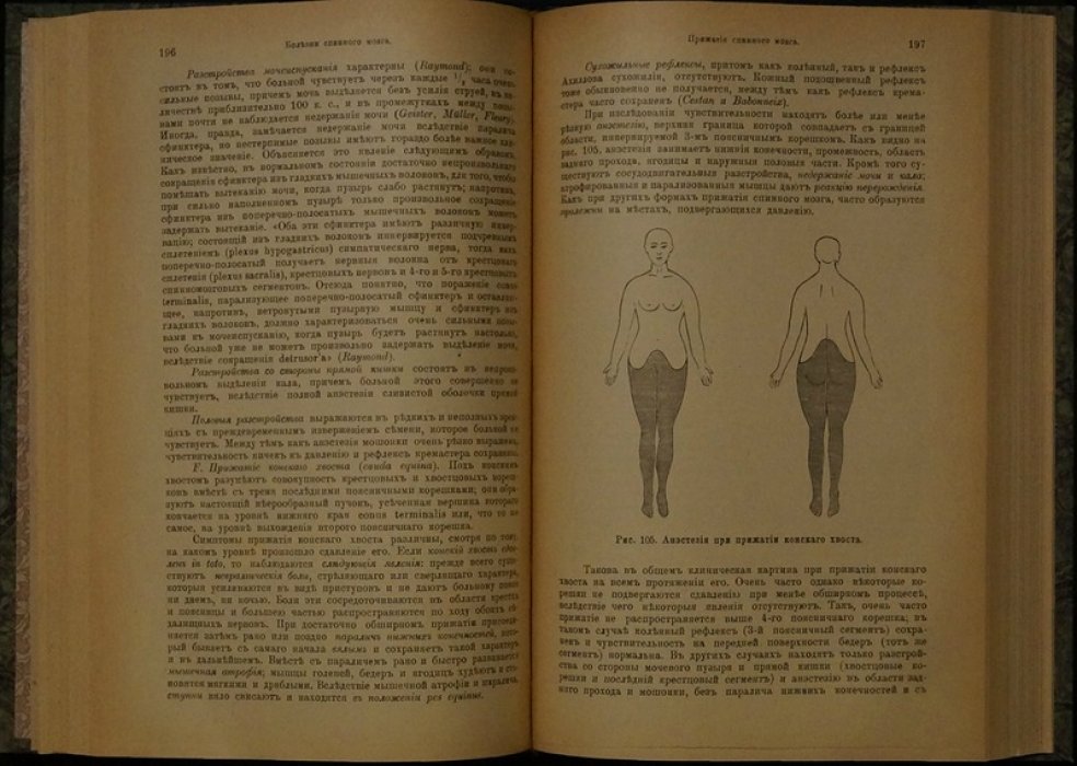 Классическое руководство по изучению болезней нервной системы (пер. с франц., 1907)
