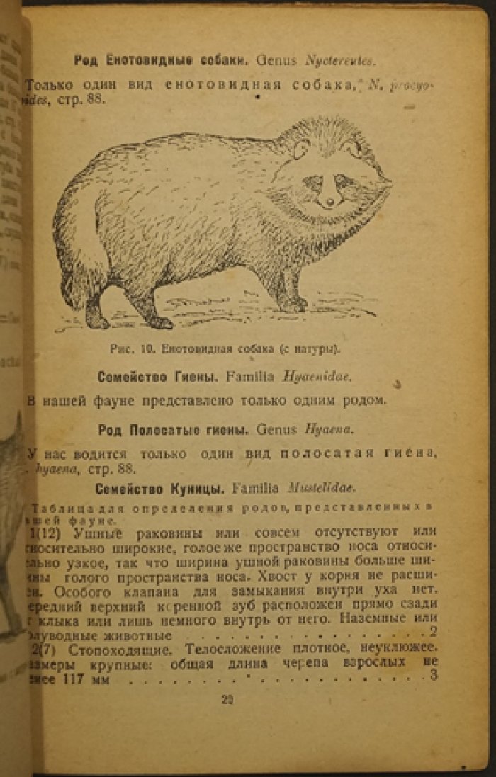 Определитель охотничьих и промысловых зверей СССР: систематика, таблицы и краткие сведения о видах (2-е переработанное издание)