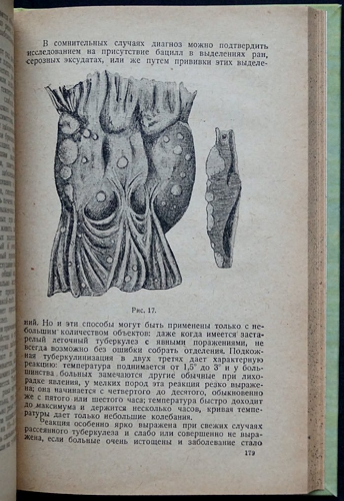 Болезни собак. Универсальный справочник по внутренним и наружным заболеваниям (с иллюстрациями)