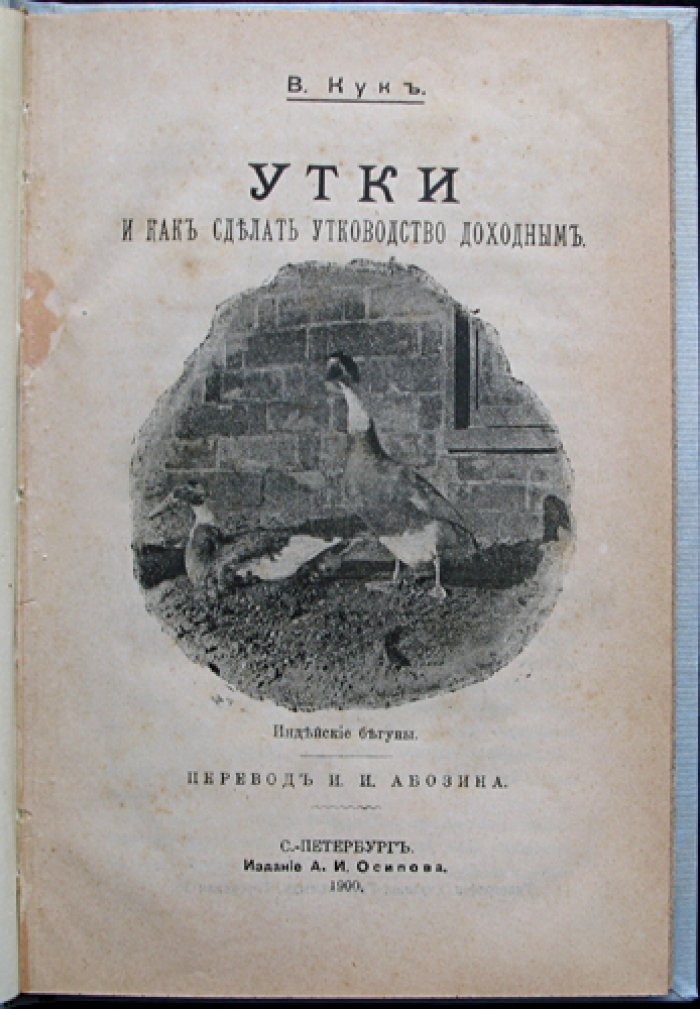 Утководство как прибыльное дело: практическое руководство по разведению уток (с практическими приемами и разбором технической стороны промыслового птицеводства)