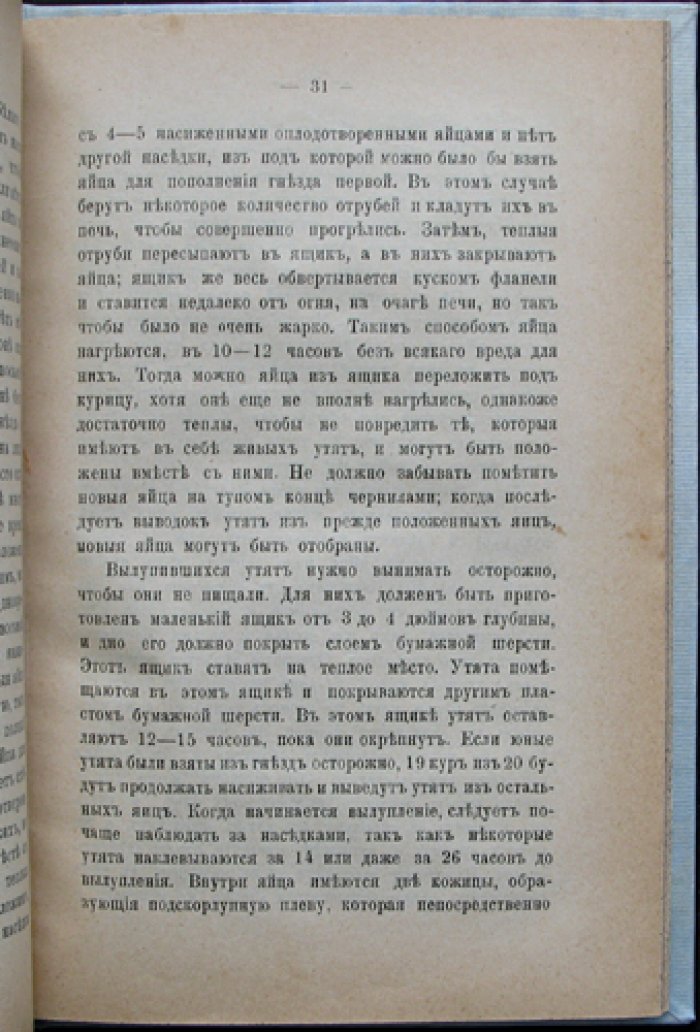 Утководство как прибыльное дело: практическое руководство по разведению уток (с практическими приемами и разбором технической стороны промыслового птицеводства)