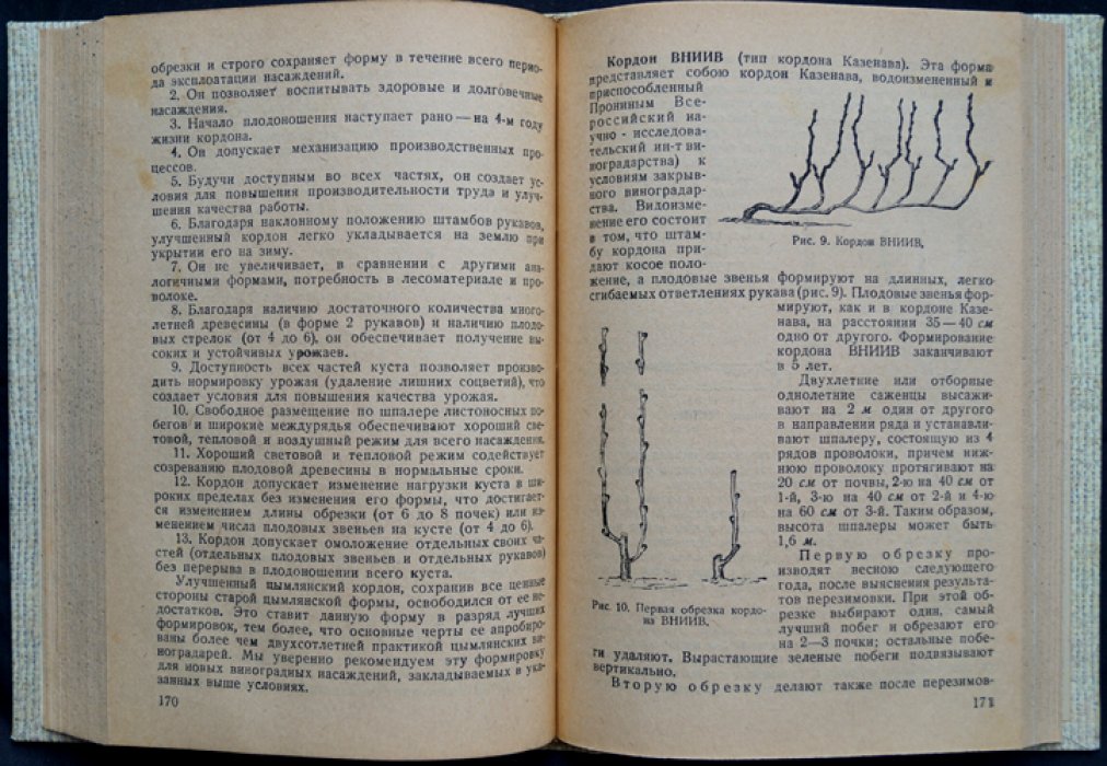 Донское виноградарство: сборник работ (агротехника, почвы, сорта и орошение виноградников Ростовской области)