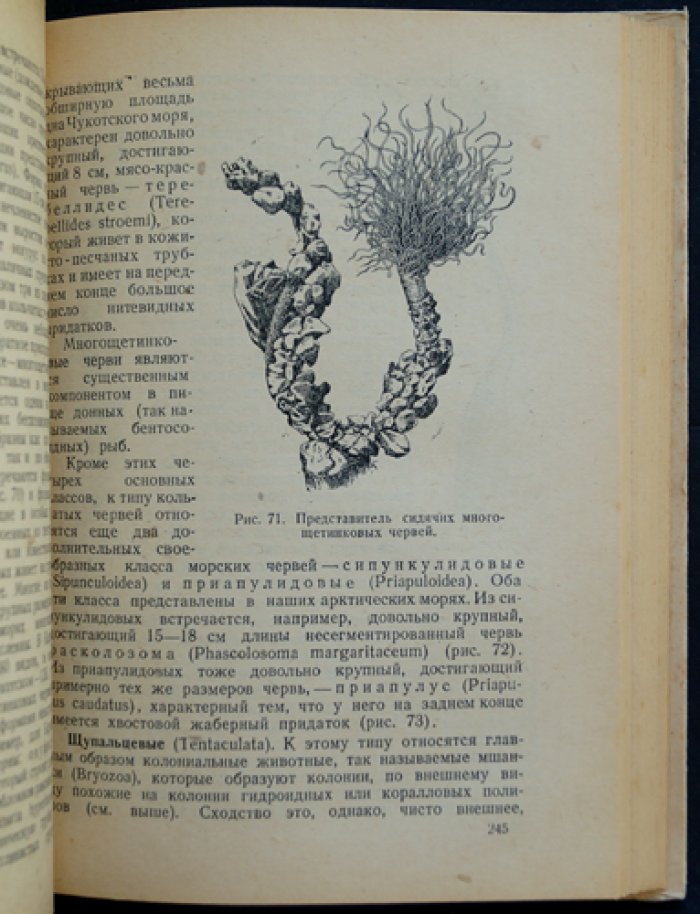 Справочная книжка полярника: океанография, климат, животный мир и население Арктики