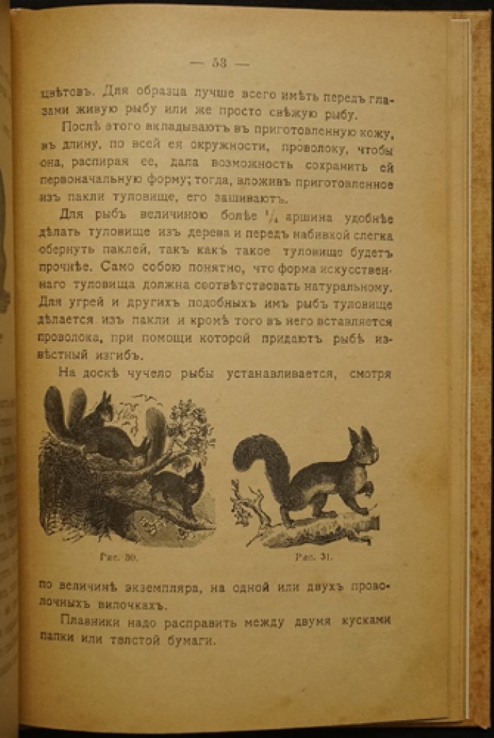 Набивка чучел и собирание насекомых: практическое руководство (4-е изд., иллюстр.)