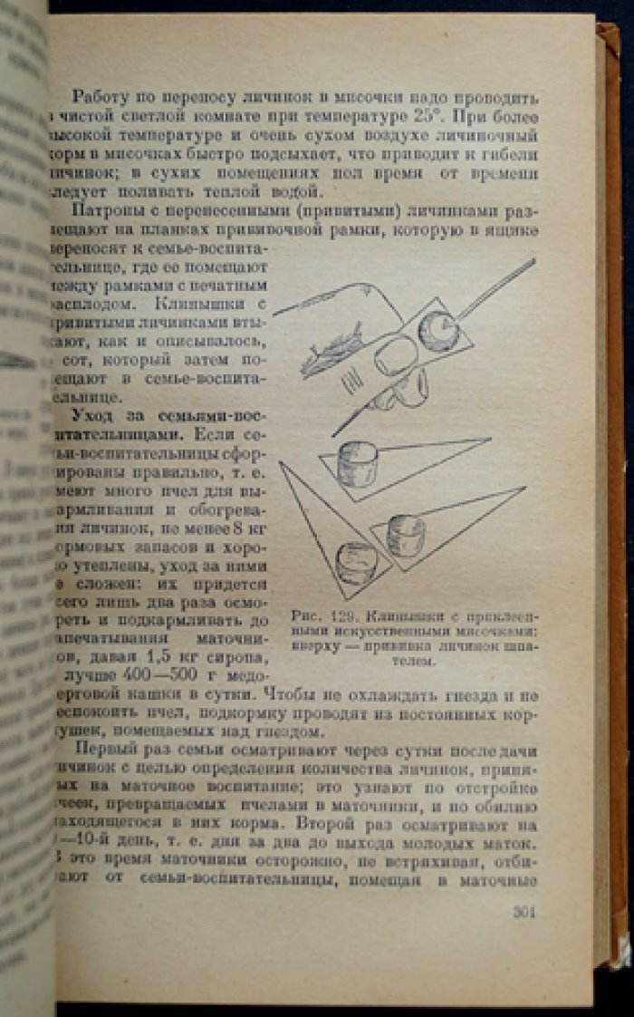 Пчеловодство: биология семьи, разведение, содержание, болезни, кормовая база и опыление сельхозкультур
