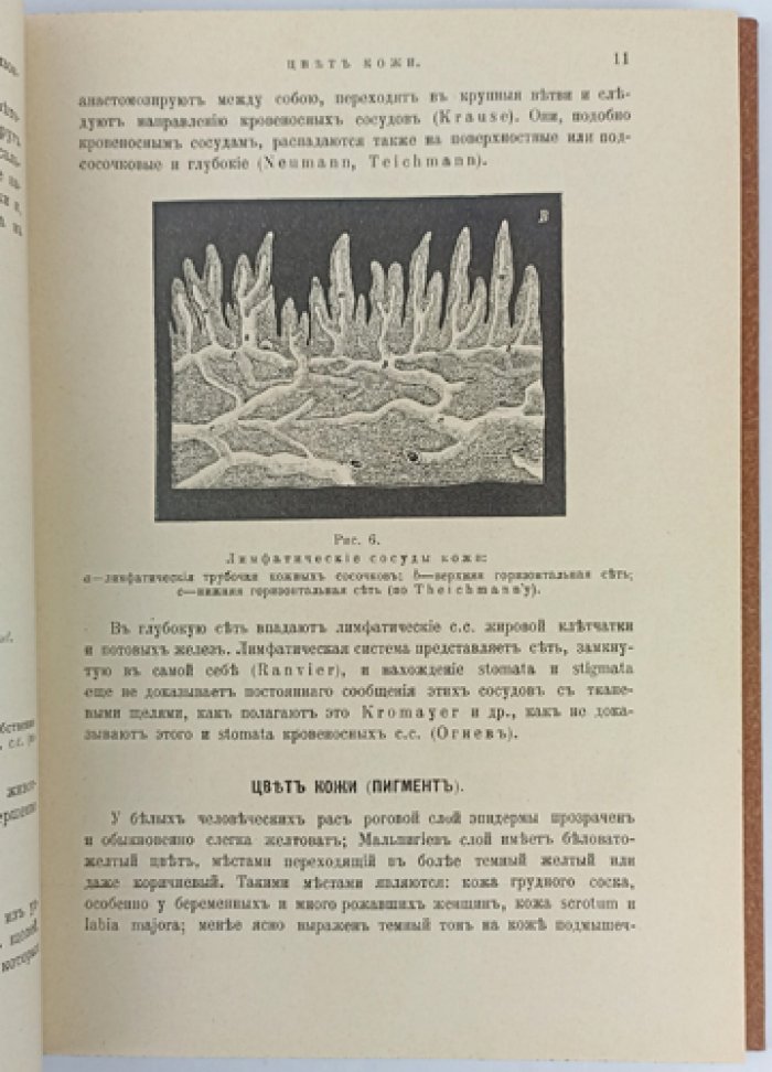 Поспелов. Краткий учебник кожных болезней (6-е исправленное и дополненное издание, 1907)