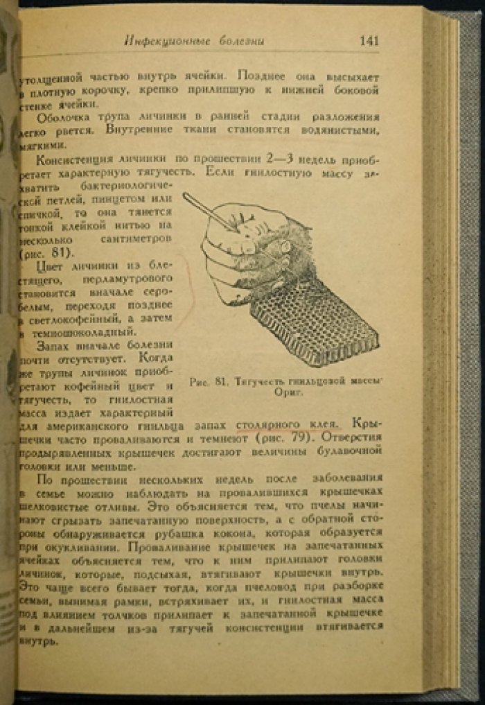 Болезни пчёл: справочник по диагностике и мерам борьбы (2-е перераб. изд.)
