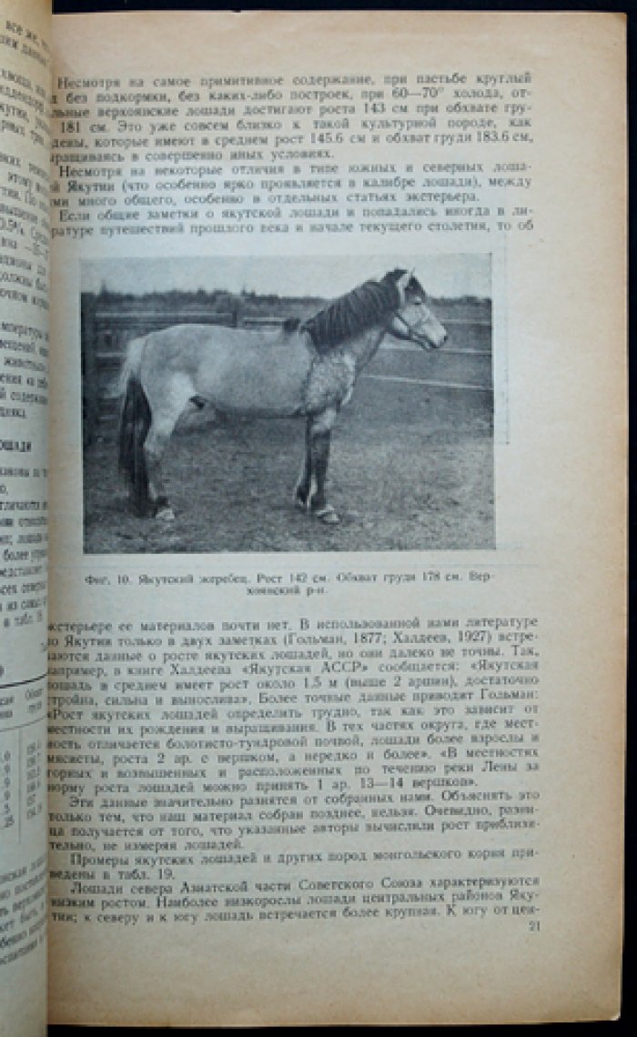 Коневодство Якутской АССР (Якутская экспедиция, 1938): разведение, типы и использование якутских лошадей