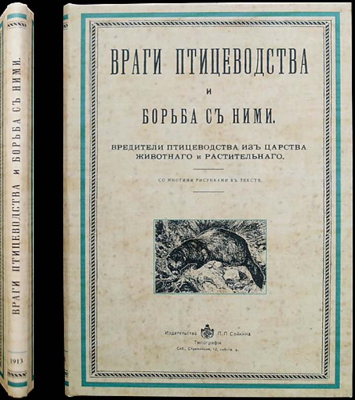 Враги птицеводства и борьба с ними. Вредители птицеводства из царства животного и растительного (по личному опыту и наблюдениям)
