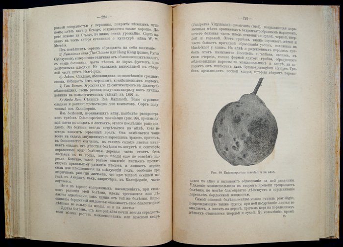 Промышленное плодоводство в Северной Америке: отчет о поездке (1895) и практические наблюдения по садоводству