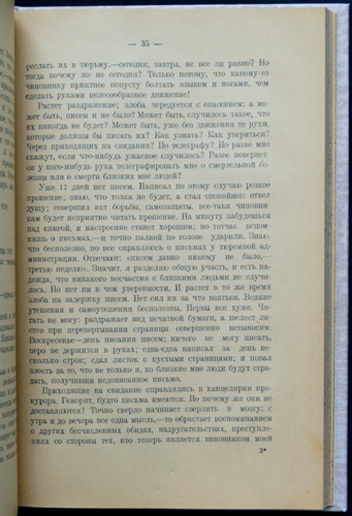 Три года в одиночной тюрьме (1896–1898): воспоминания и размышления о тюремном испытании
