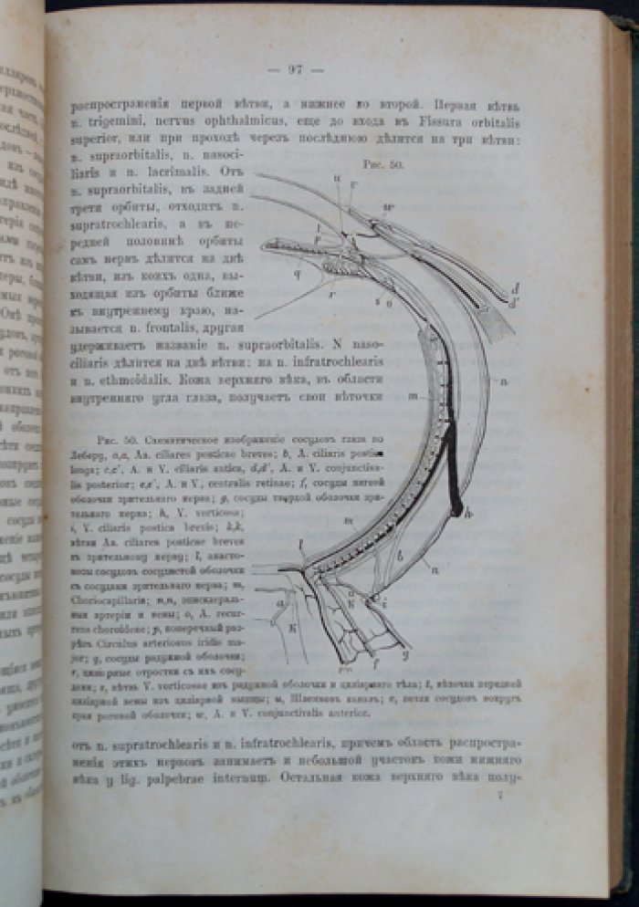Курс глазных болезней. 6-е исправленное и дополненное издание (с рисунками в тексте)
