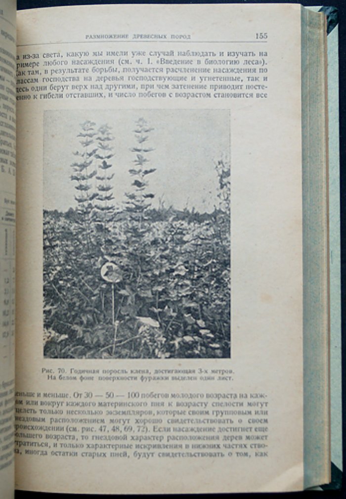 Г. Ф. Морозов. Учение о лесе (ландшафтный подход к природе леса). Издание третье