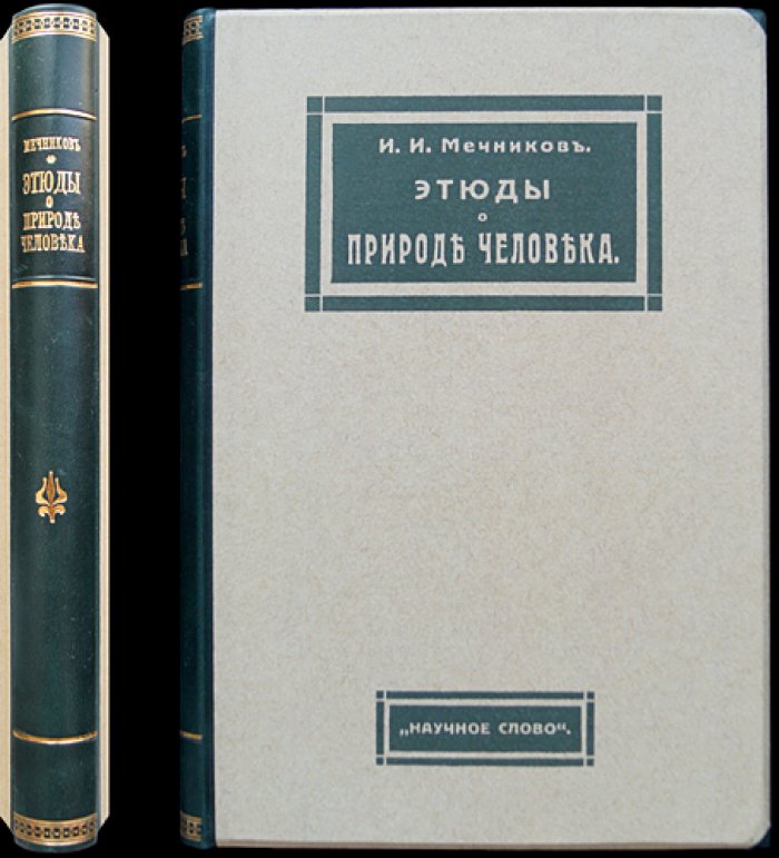 И. И. Мечников. Этюды о природе человека. Научно-популярные очерки о долголетии, болезнях и борьбе со старением
